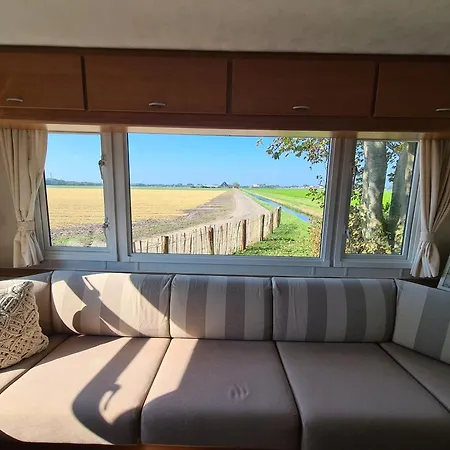 'como La Flor' Bloemenvelden Vrij Uitzicht Chalet Julianadorp