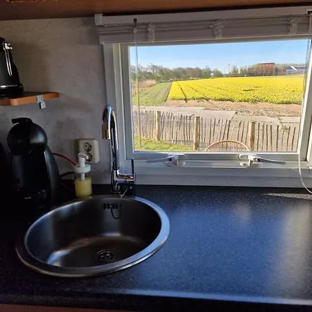 Chalet 'como La Flor' Bloemenvelden Vrij Uitzicht Julianadorp