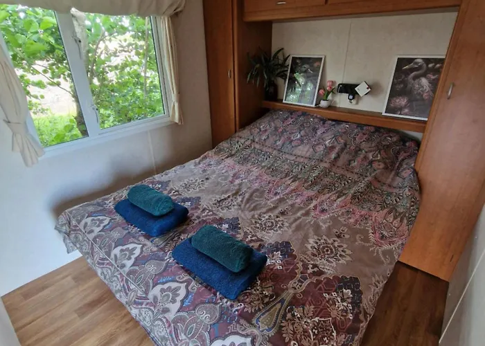 'como La Flor' Flowerfields Overview! 'airconditioning'