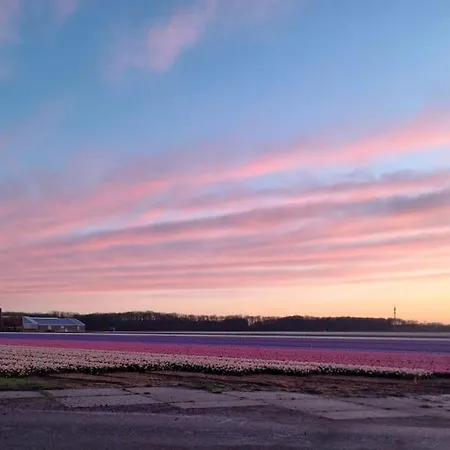 'como La Flor' Flowerfields Overview! 'airconditioning' Alpstuga *