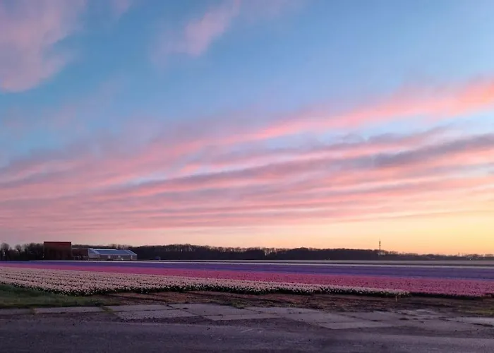 'como La Flor' Flowerfields Overview! 'airconditioning' شاليه *